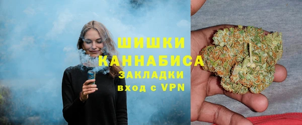 Альфа ПВП Вяземский