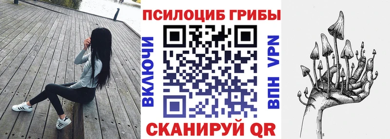 Псилоцибиновые грибы MAGIC MUSHROOMS  Купить где  Киржач 